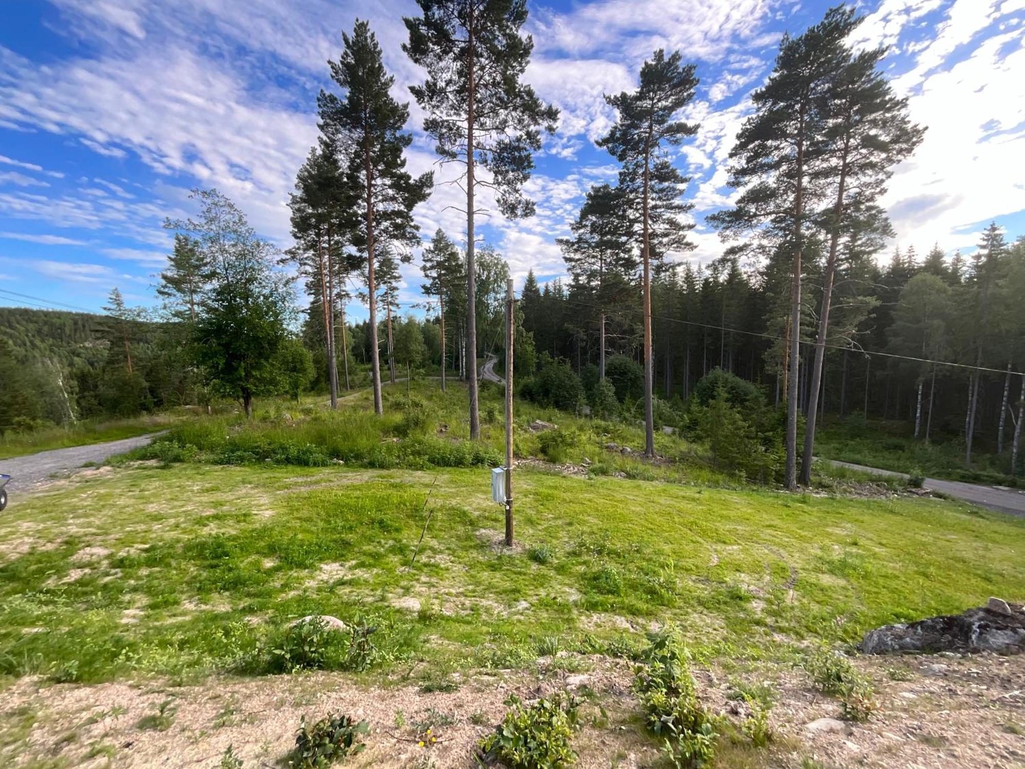 Villa Koselig Hytte I Skogen Skillingsfors Exterior foto