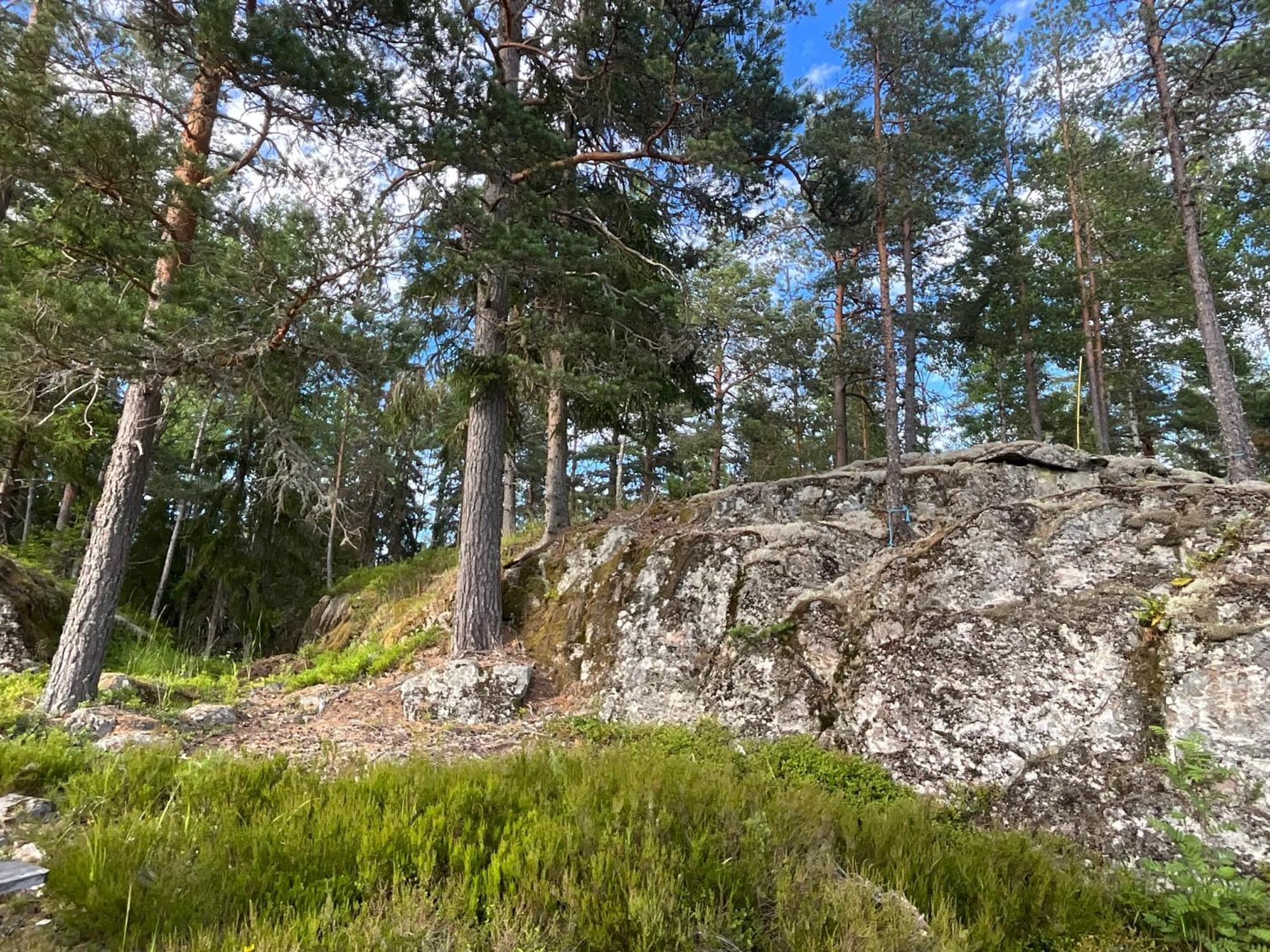 Villa Koselig Hytte I Skogen Skillingsfors Exterior foto